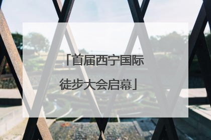 首届西宁国际徒步大会启幕