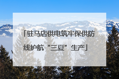 驻马店供电筑牢保供防线护航“三夏”生产