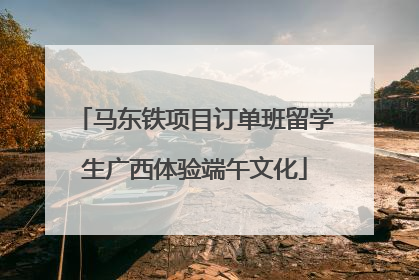 马东铁项目订单班留学生广西体验端午文化