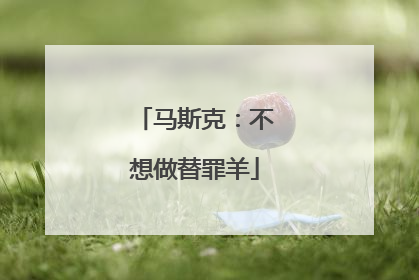 马斯克：不想做替罪羊