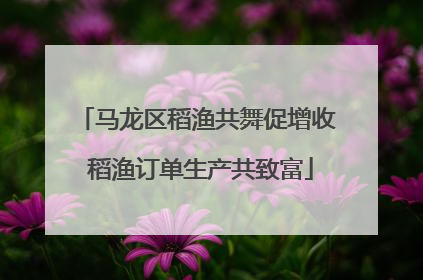 马龙区稻渔共舞促增收 稻渔订单生产共致富