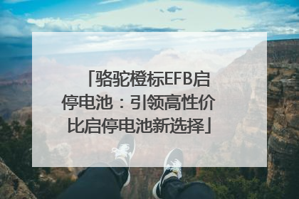 骆驼橙标EFB启停电池：引领高性价比启停电池新选择