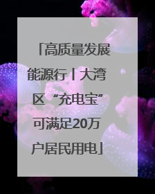 高质量发展能源行丨大湾区“充电宝”可满足20万户居民用电