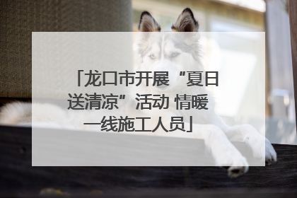 龙口市开展“夏日送清凉”活动 情暖一线施工人员