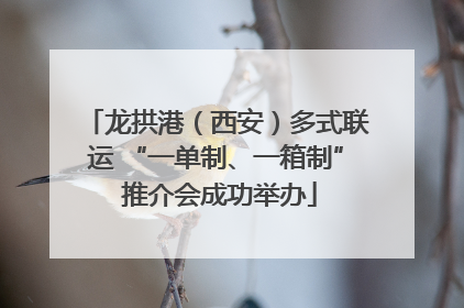 龙拱港（西安）多式联运 “一单制、一箱制” 推介会成功举办