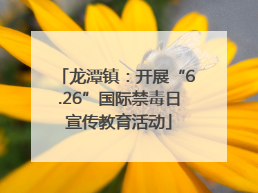 龙潭镇：开展“6.26”国际禁毒日宣传教育活动