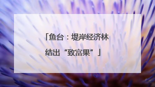 鱼台：堤岸经济林结出“致富果”