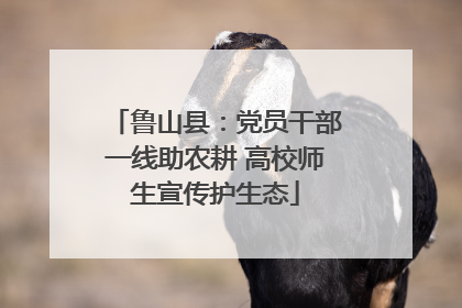 鲁山县：党员干部一线助农耕 高校师生宣传护生态