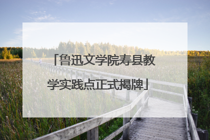 鲁迅文学院寿县教学实践点正式揭牌