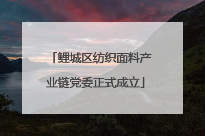 鲤城区纺织面料产业链党委正式成立
