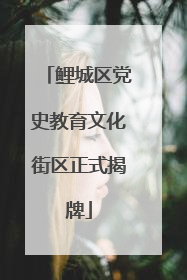鲤城区党史教育文化街区正式揭牌