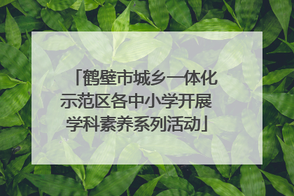 鹤壁市城乡一体化示范区各中小学开展学科素养系列活动