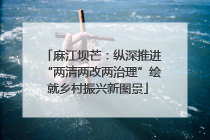 麻江坝芒：纵深推进“两清两改两治理”绘就乡村振兴新图景