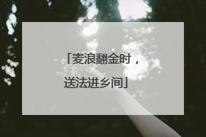 麦浪翻金时，送法进乡间
