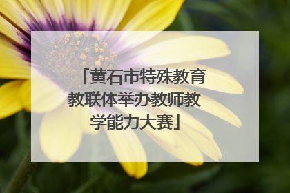 黄石市特殊教育教联体举办教师教学能力大赛