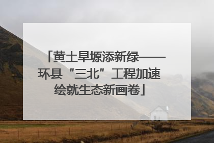 黄土旱塬添新绿——环县“三北”工程加速绘就生态新画卷