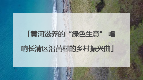 黄河滋养的“绿色生意” 唱响长清区沿黄村的乡村振兴曲