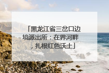 黑龙江省三岔口边境派出所：在界河畔，扎根红色沃土