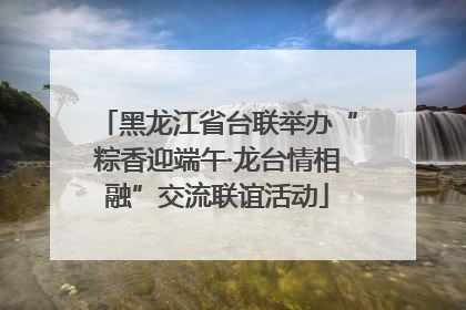 黑龙江省台联举办“粽香迎端午·龙台情相融”交流联谊活动