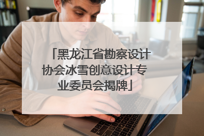 黑龙江省勘察设计协会冰雪创意设计专业委员会揭牌