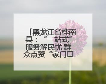 黑龙江省桦南县：“一站式”服务解民忧 群众点赞“家门口的便利”