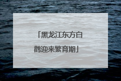 黑龙江东方白鹳迎来繁育期