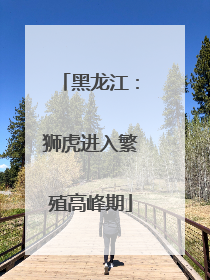 黑龙江：狮虎进入繁殖高峰期