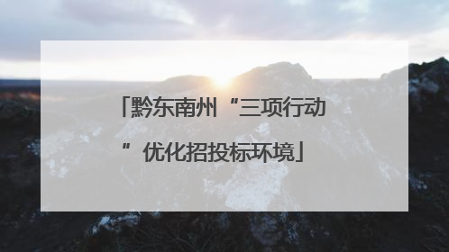 黔东南州“三项行动”优化招投标环境