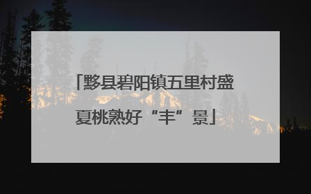 黟县碧阳镇五里村盛夏桃熟好“丰”景