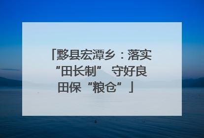黟县宏潭乡：落实“田长制” 守好良田保“粮仓”