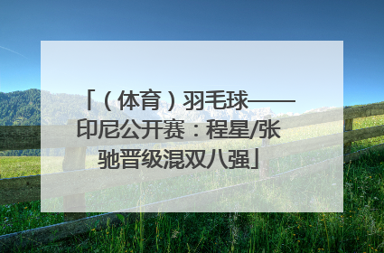 （体育）羽毛球——印尼公开赛：程星/张驰晋级混双八强