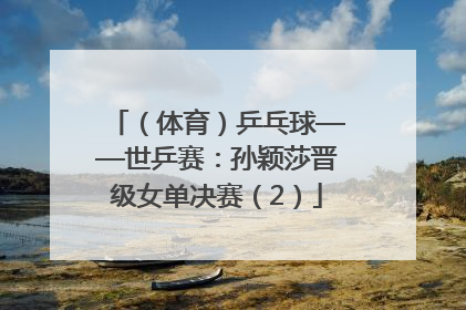（体育）乒乓球——世乒赛：孙颖莎晋级女单决赛（2）