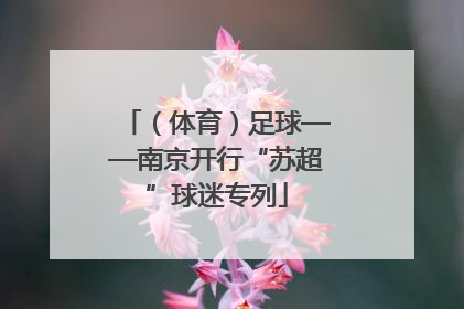 （体育）足球——南京开行“苏超”球迷专列