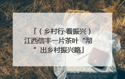 （乡村行·看振兴）江西信丰一片茶叶“沏”出乡村振兴路