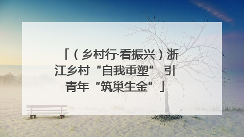 （乡村行·看振兴）浙江乡村“自我重塑” 引青年“筑巢生金”