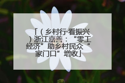 （乡村行·看振兴）浙江嘉善：“零工经济”助乡村民众“家门口”增收