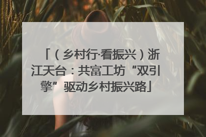 （乡村行·看振兴）浙江天台：共富工坊“双引擎”驱动乡村振兴路