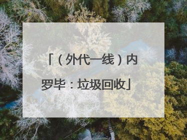 （外代一线）内罗毕：垃圾回收