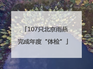 107只北京雨燕完成年度“体检”