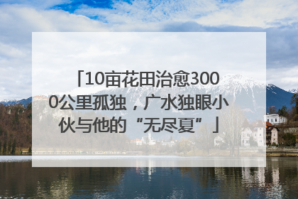10亩花田治愈3000公里孤独，广水独眼小伙与他的“无尽夏”