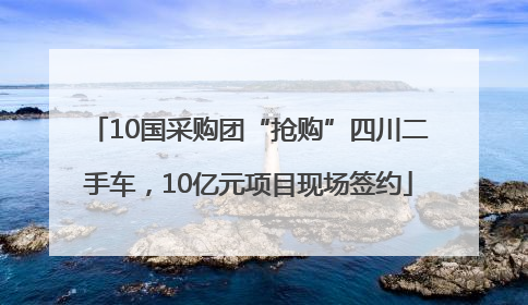 10国采购团“抢购”四川二手车，10亿元项目现场签约