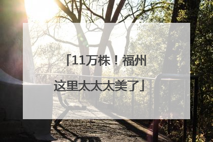 11万株！福州这里太太太美了