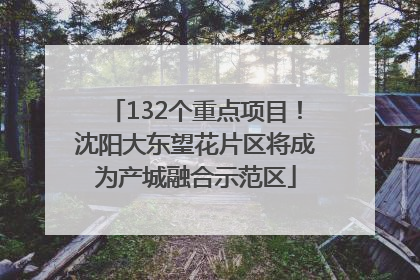 132个重点项目！沈阳大东望花片区将成为产城融合示范区