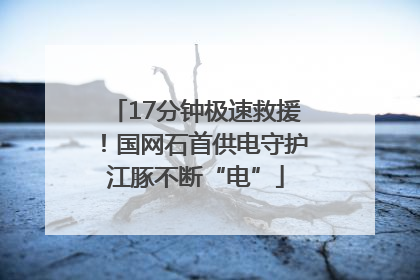 17分钟极速救援！国网石首供电守护江豚不断“电”