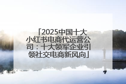 2025中国十大小红书电商代运营公司：十大领军企业引领社交电商新风向