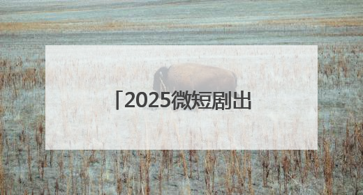 2025微短剧出海品牌大会桐乡分会场：以微短剧赋能区域经济发展