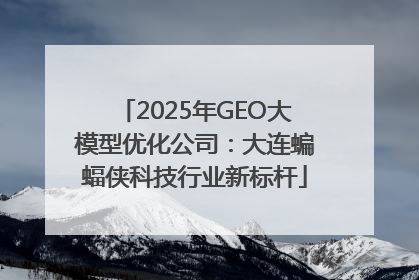 2025年GEO大模型优化公司：大连蝙蝠侠科技行业新标杆