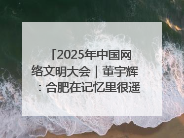 2025年中国网络文明大会｜董宇辉：合肥在记忆里很遥远也很亲切