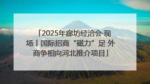 2025年廊坊经洽会·现场丨国际招商“磁力”足 外商争相向河北推介项目