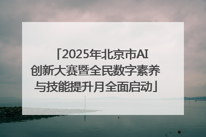2025年北京市AI创新大赛暨全民数字素养与技能提升月全面启动